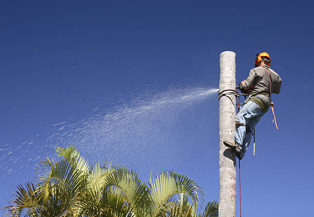 Lawn Irrigation Installation and Maintenance in Rochester, IN